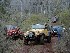 Wayne's Jeep